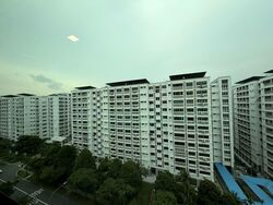 Blk 247 Pasir Ris Street 21 (Pasir Ris), HDB Executive #561030631